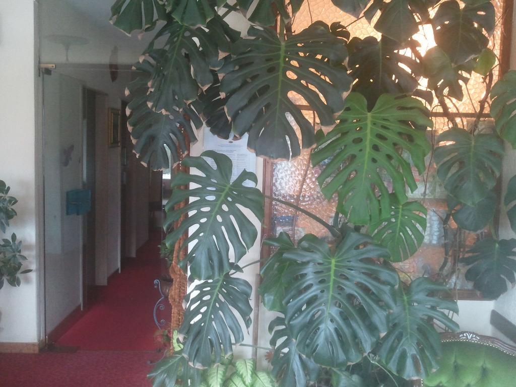 Hotel Lux Мерано Экстерьер фото
